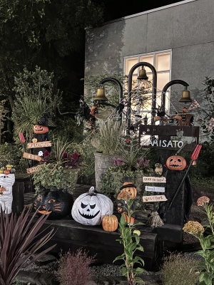 ATARU（ｱﾀﾙ） ハロウィンですね