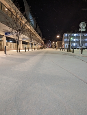 MISAKI(ﾐｻｷ) 雪道