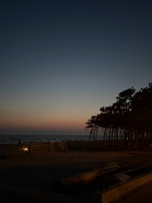 MASH(ﾏｯｼｭ) 🌃