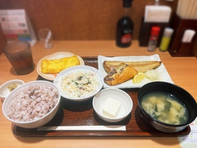 TSUBASA（ﾂﾊﾞｻ) 今日も今日とて😌