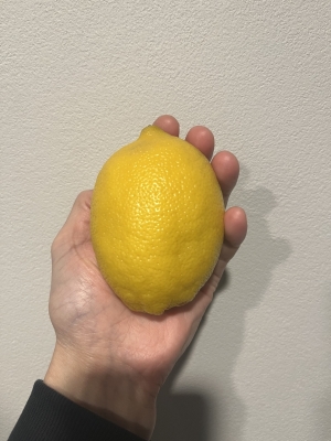 SHINNOSUKE(ｼﾝﾉｽｹ) レモン