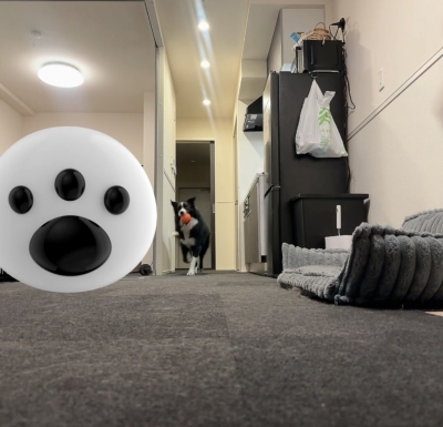 ATSUMU（ｱﾂﾑ） ボール遊び