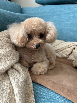 KUROHA（ｸﾛﾊ） 自己紹介続き、うちの可愛い子