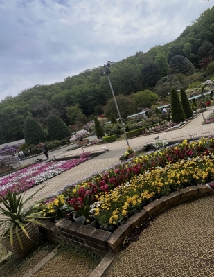 AKIHIRO（ｱｷﾋﾛ） 花