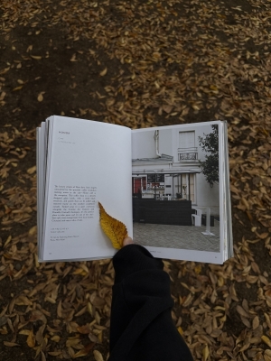 MASH(ﾏｯｼｭ) 落ち葉と本