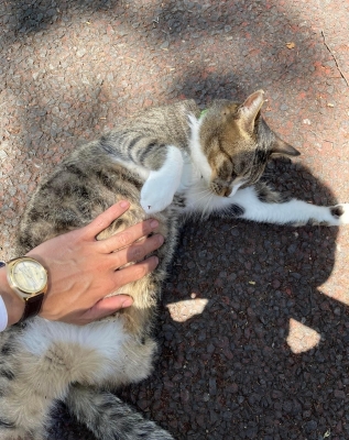 MINORI(ミノリ) 『片足にゃんこと血管ピ』