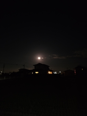 JIROU(ジロウ) 満月🌝