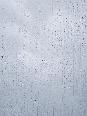 KAZUHITO(ｶｽﾞﾋﾄ) 梅雨