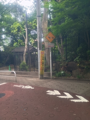 KOYOI(ｺﾖｲ) 見てみたい