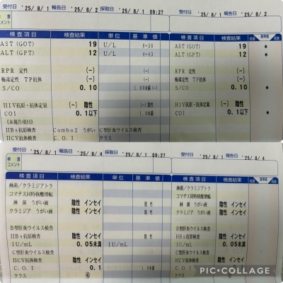 HANZO（ﾊﾝｿﾞｰ） 検査