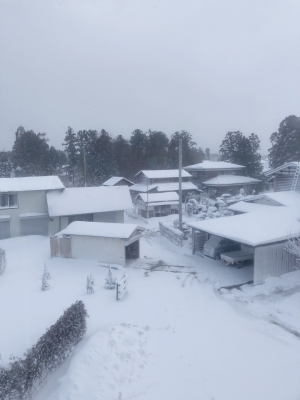 NANASE(ﾅﾅｾ) 🥹🥲😭😢🥺🥶