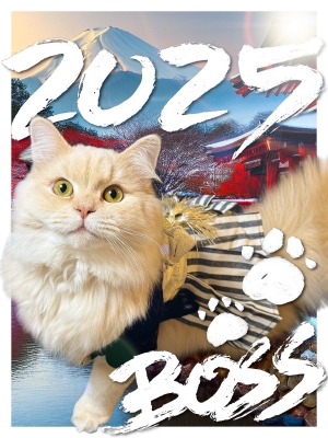 BOSS(ﾎﾞｽ) (^ට ‧̫ ට^)੭