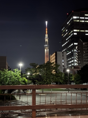 YAMATO(ﾔﾏﾄ) 夜🌙