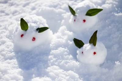 ふぶき 雪