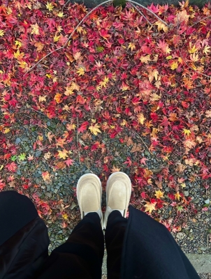 KONOSUKE(ｺｳﾉｽｹ) 見にい紅葉