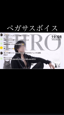 HIRO（ヒロ） ペガサスボイス