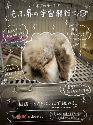 KUUMA(ｸｳﾏ) 本日も
