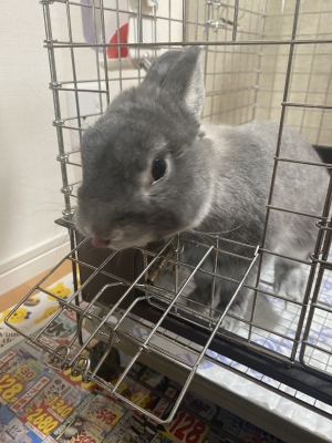 MISAKA(ﾐｻｶ) 可愛い