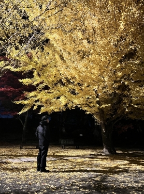 REN(ﾚﾝ) ｢れんとお散歩｣キャス終えて🍀