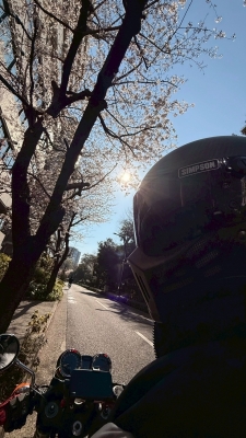 ARASHI(ｱﾗｼ) 【🌸🏍️】