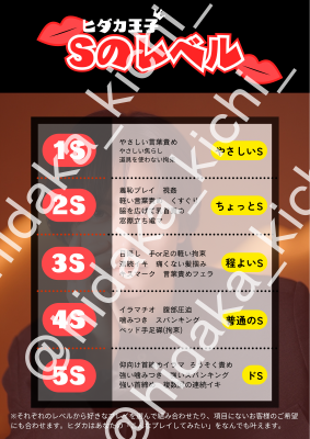 HIDAKA(ﾋﾀﾞｶ) 【SMオプション】