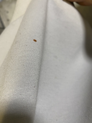 MISAKA(ﾐｻｶ) あああああぁぁぁぁぁぁ