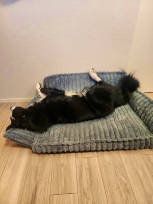 ATSUMU(アツム) 寝方