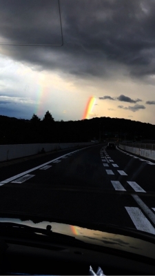 SYACHI(ｼｬﾁ) 虹
