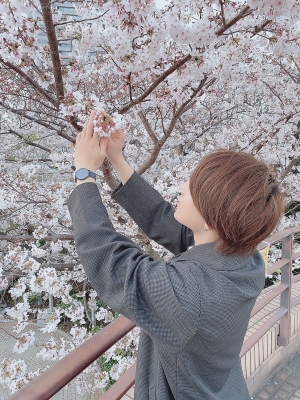 MOMO(ﾓﾓ) 【モザイクなし】満開の桜を見ながら撮影してきました！