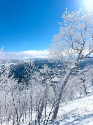 ATSUMU（ｱﾂﾑ） ただいま