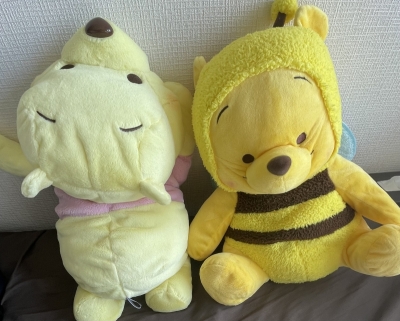 SUU(ｽｩ) UFCキャッチャー得意