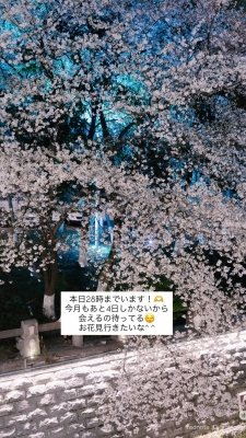 AYUMU(ｱﾕﾑ) 🌸