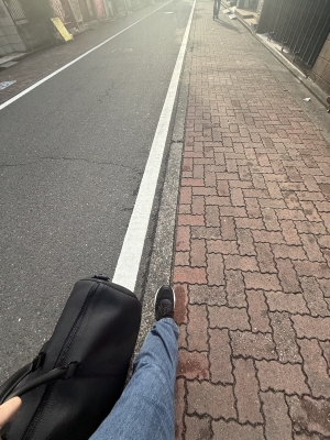 ARASHI(ｱﾗｼ) 【CAS】