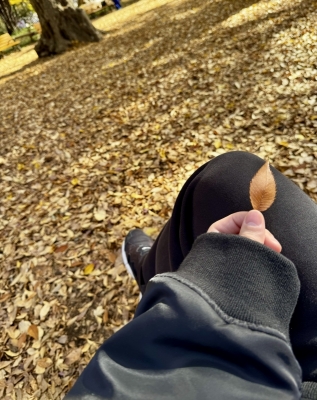 MEISA(メイサ) 🍂