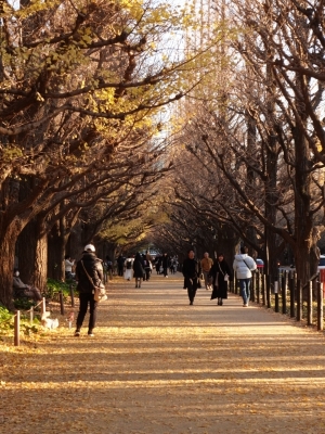 MASH(ﾏｯｼｭ) まだまだ秋を感じれてうれしい🍂🍂