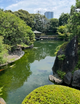 TSUMUGU(ﾂﾑｸﾞ) 庭園が好きな件