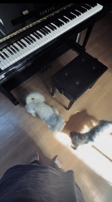 KAKERU(ｶｹﾙ) 15〜16日お休みしてます🎹