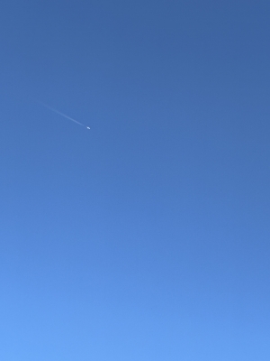 TSUBASA(ﾂﾊﾞｻ) 散歩🚶