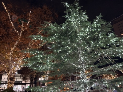 SOUTAROU(ｿｳﾀﾛｳ) 『抱きしめられた記憶、ありますか？』