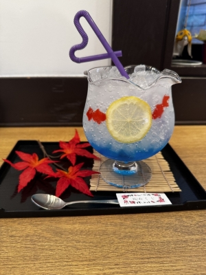 TAKAYA（ﾀｶﾔ） 金魚花火