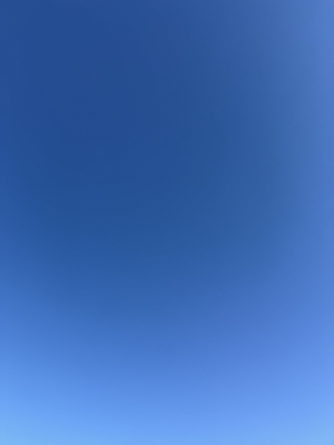 HISAKI(ヒサキ) 今朝の天気☀️