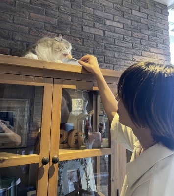 ANZU(ｱﾝｽﾞ) にゃんこ🐱