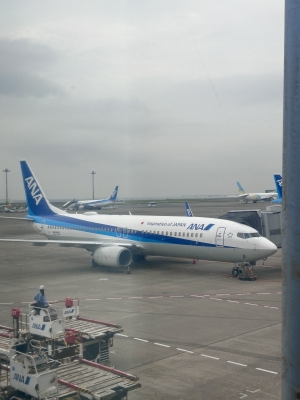 KONOSUKE(ｺｳﾉｽｹ) ✈️