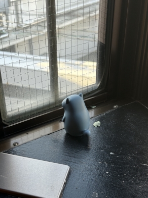 MASH(ﾏｯｼｭ) 待ちぼうけの子猫🐈