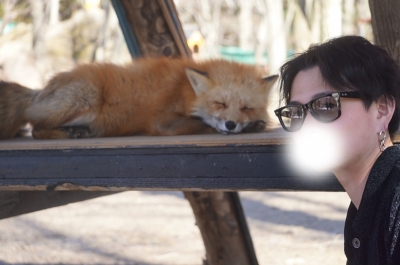 IBUKI(ｲﾌﾞｷ) きつねこんこん