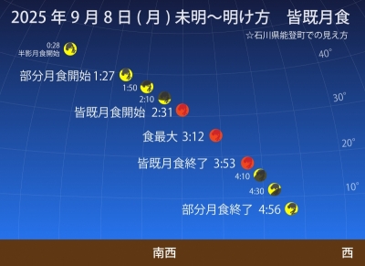KOYOI(ｺﾖｲ) 見れた？
