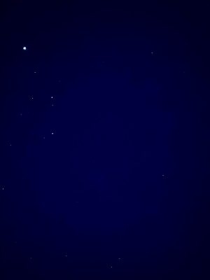 SHION(ｼｵﾝ) お詫び…