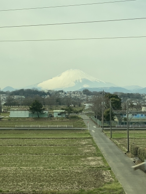 MISAKA(ﾐｻｶ) 多分富士山