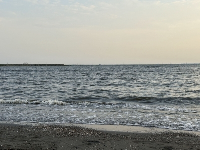 MASH(マッシュ) 海。