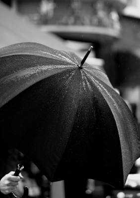 KONOSUKE(ｺｳﾉｽｹ) 傘